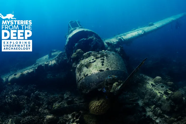 Archaeologist swimming near coral-covered shipwreck remains