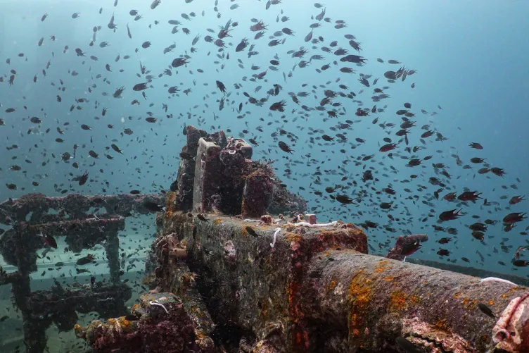 Photo by Nott Peera on Unsplash