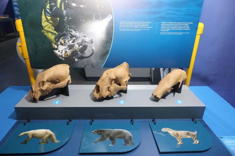 Mysteries from the Deep exhibition on display in the Space Shuttle Pavilion at the Intrepid Museum.