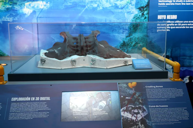 The Hoyo Negro exhibition on board the Intrpepid