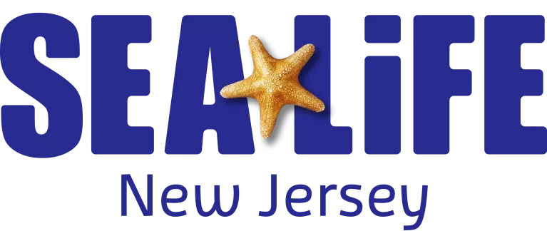Sea Life New Jersey