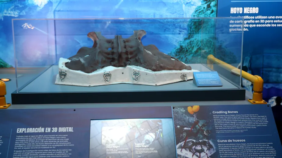 The Hoyo Negro exhibition on board the Intrpepid